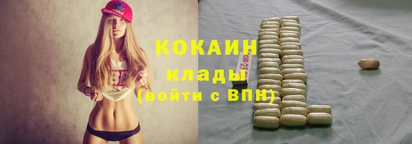 бошки Богородицк